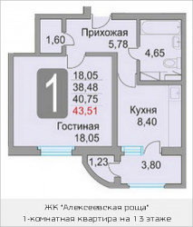 Однокомнатная квартира 43.51 м²